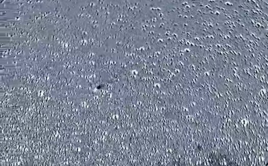 伦纳德彗星摇摆的彗尾